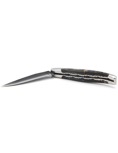 Laguiole pliant 12 cm, lame brut de forge, abeille ciselée au burin, doubles platines ciselées, manche en abalone, inox brillant