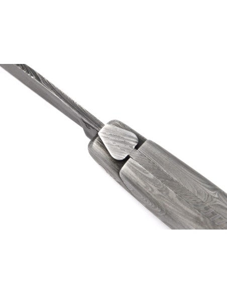 Laguiole "Sauvage" 12 cm - Damas intégral