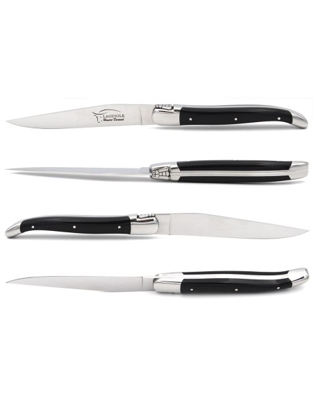 Laguiole steak knives with shiny stainless steel bolsters. Slim mixed colors Corian handles
