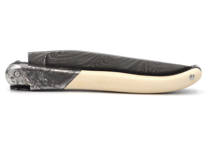 Laguiole pocket knife, 12 cm, "wild" Damascus steel blade,  bee and spring chiseled with file, 1 front meteorite steel bolster
