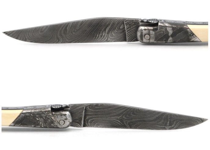 Laguiole pocket knife, 12 cm, "wild" Damascus steel blade,  bee and spring chiseled with file, 1 front meteorite steel bolster