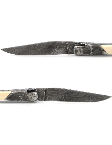 Laguiole pocket knife, 12 cm, "wild" Damascus steel blade,  bee and spring chiseled with file, 1 front meteorite steel bolster