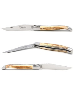 Laguiole Klappmesser, Griff aus Mammut-Elfenbein mit Kruste 2