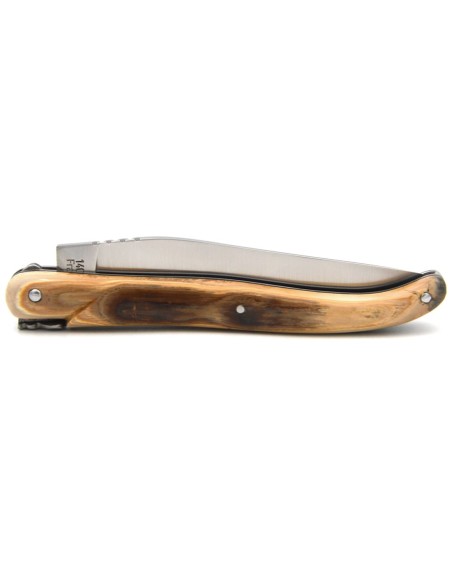 Laguiole pliant 12 cm, abeille forgée, lame seule, plein manche en défense de mammouth avec finition inox mat