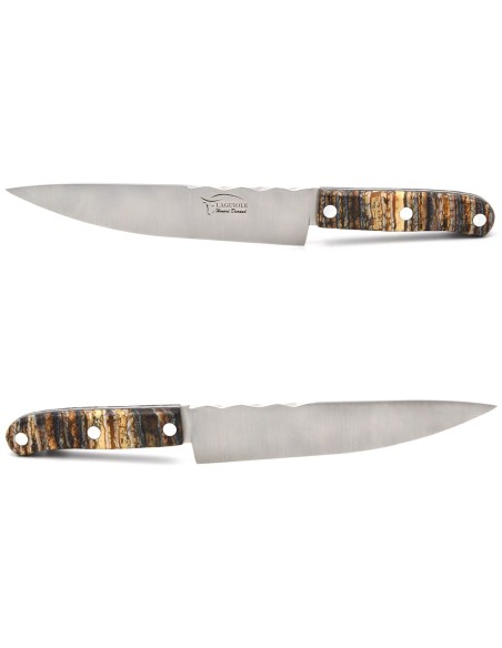 Couteau de cuisine, manche de 11 cm en molaire de mammouth