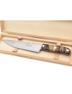 Couteau de cuisine, manche de 11 cm en molaire de mammouth 2