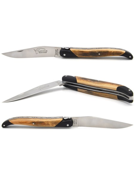 Laguiole pocket knife 12 cm, false ebony bolsters, mammoth tusk full handle
