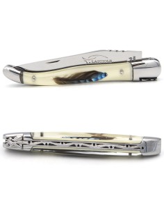 Laguiole 12cm, acryl griff mit jays feder
