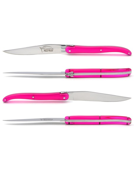 Coffret de couteaux de table Laguiole plein manche en acrylique fluo