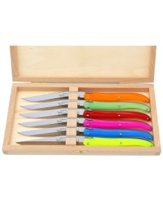 Coffret de couteaux de table Laguiole plein manche en acrylique fluo