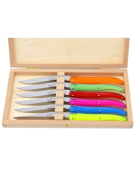 Laguiole Steakmesser, VollerGriff aus Acrylic
