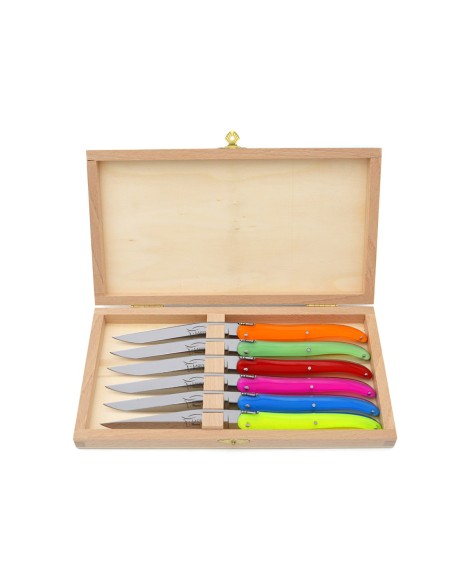 Coffret de couteaux de table Laguiole plein manche en acrylique fluo