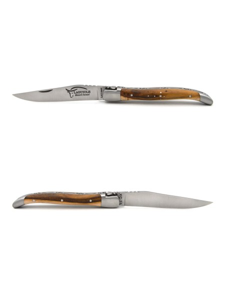 Laguiole pocket knife 10 cm, carbon blade, forged bee, pistachio handle