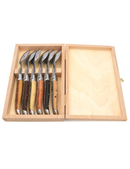 Laguiole soup spoon, wide various wood handles with matt bolsters