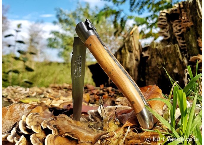 Laguiole knife with Geographical Indication label, 12 cm olive wood handle, blade only, matt stainless steel finish