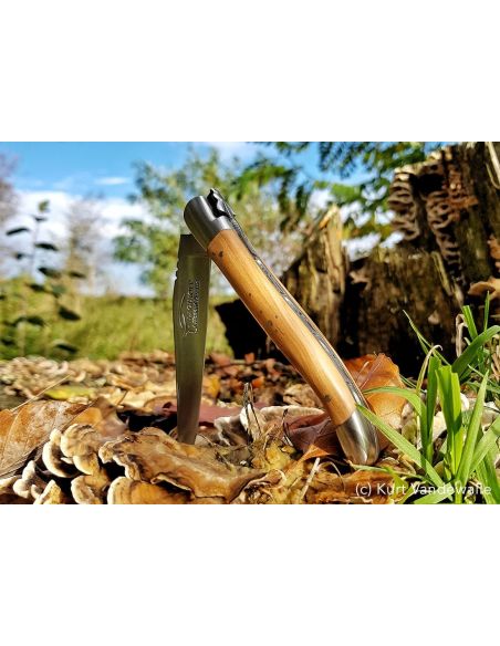 Laguiole knife with Geographical Indication label, 12 cm olive wood handle, blade only, matt stainless steel finish