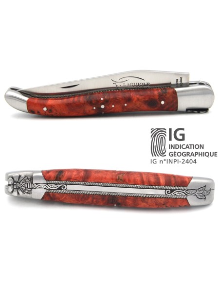 Laguiole knife with Geographical Indication label, 12 cm red stabilised poplar burr handle, chiselled bee and spring