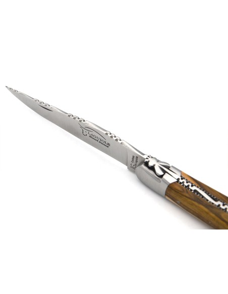 Laguiole with GI, top and bottom chiseling, pistachio wood handle