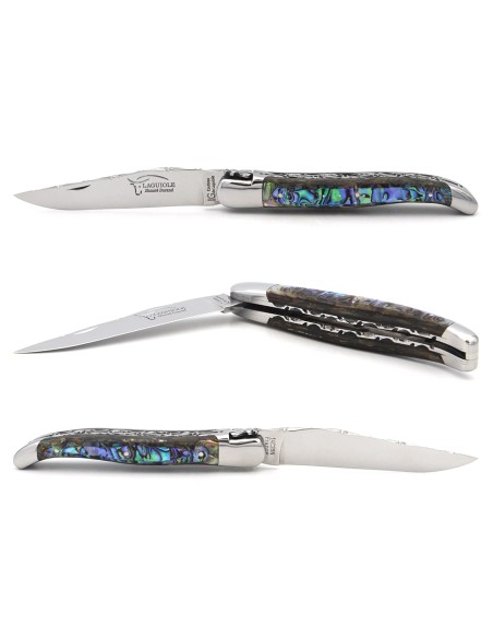 Laguiole with GI label, 12 cm abalone, chiseled double plates & blade