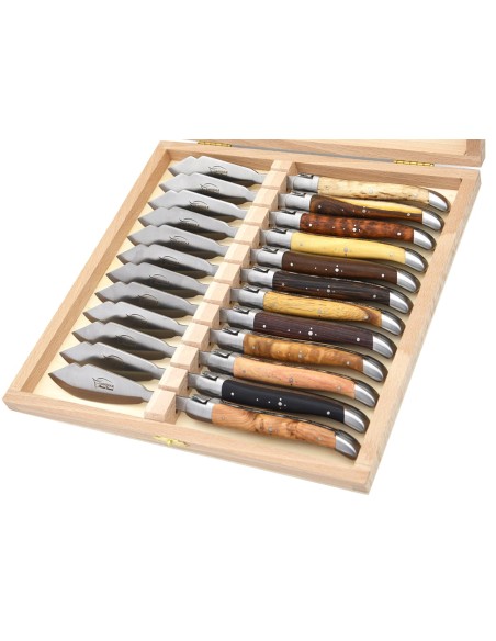 Coffret de couteaux de Laguiole à poisson en bois divers