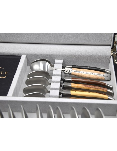 Traditionell Laguiole-Besteckservices, 48 Stücke, Heftbacken aus glänzendem Edelstahl, Griff aus Verschiedene Holzarten